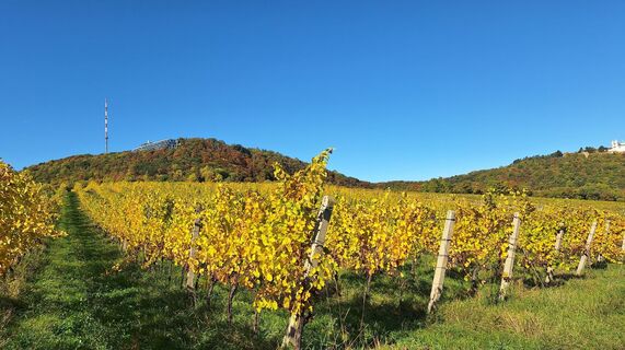 Foto da Regina Fleischmann lungo il tour