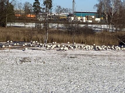 Photo de Christian Mark le long du parcours