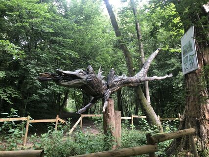 Fotografija s spletne strani Natale Maffioletti na poti