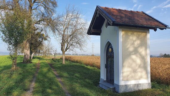 14.8 km Marterl an Allee nach Grieskirchen