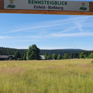 Rennsteigblick zum Bleßberg