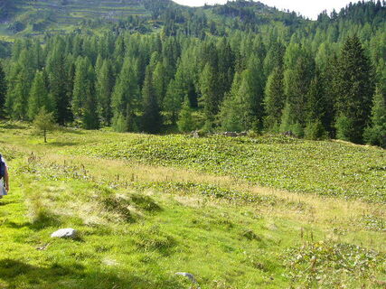 Haizingalm (verfallen)