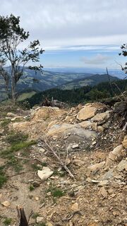 Foto von Mandi_3000 entlang der Tour