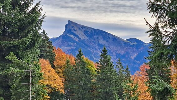 Fotografia z Gerhard Faugel na trase