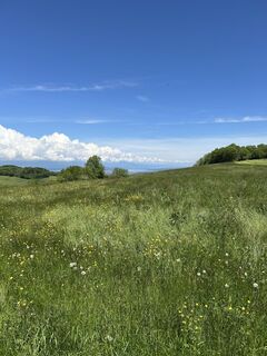 Zdjęcie z Andi Felix wzdłuż trasy