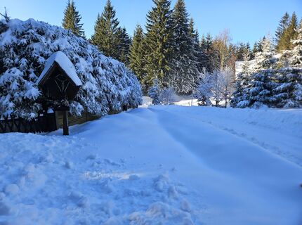 Foto von Franz Russ entlang der Tour