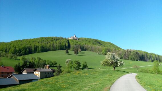 Foto von Marcin 1 entlang der Tour