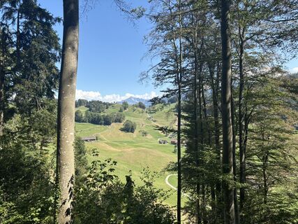 Fotografia z Kusiek Lara na trase