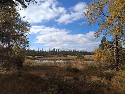Fotó a Christian Krebs honlapról a túra során