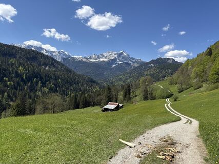 Zdjęcie z Similaun wzdłuż trasy