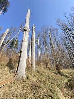 Fotografia z Ilona Varga na trase