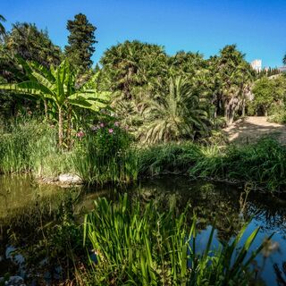 Der Erzherzogliche Park von Arco