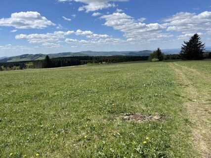 Foto von Sebastian entlang der Tour