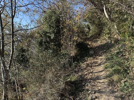 Fotografie z Vincenzo Cascio na trase