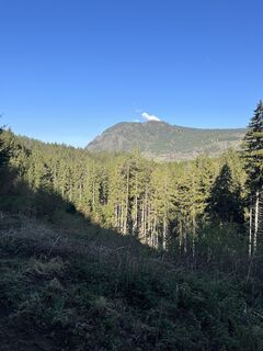 Fotografija s spletne strani Bernhard Koller na poti
