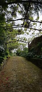 Fotografija s spletne strani anastasia berguglia na poti