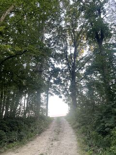 Photo de Doris Zipfel le long du parcours