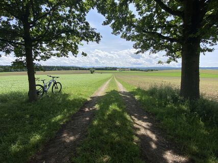 Fotografija s spletne strani Sven Krieblin na poti