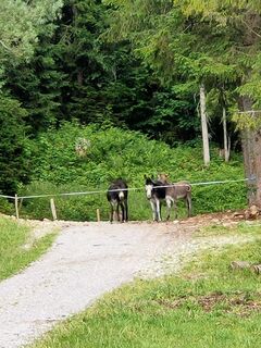 Foto von Mirko Norway entlang der Tour