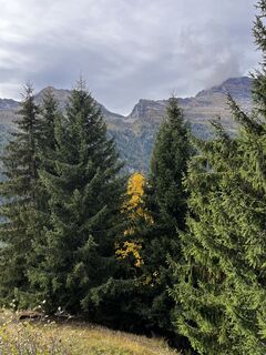 Fotografija s spletne strani Marisa scafetta na poti