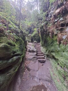 Photo de Franzis Schrammel le long du parcours