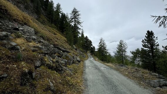 Foto från peter_oe under resans gång