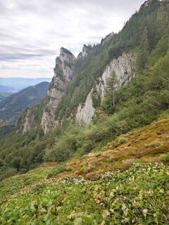 Foto von Katona Ferk Mariann entlang der Tour