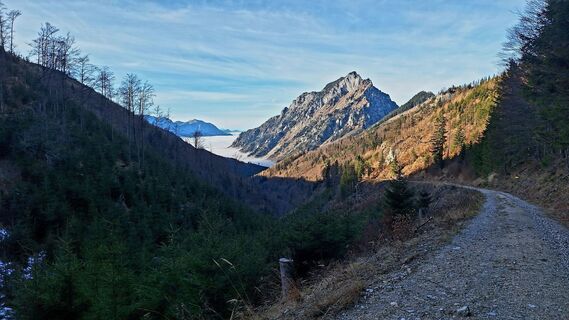 Photo de Regina Fleischmann le long du parcours