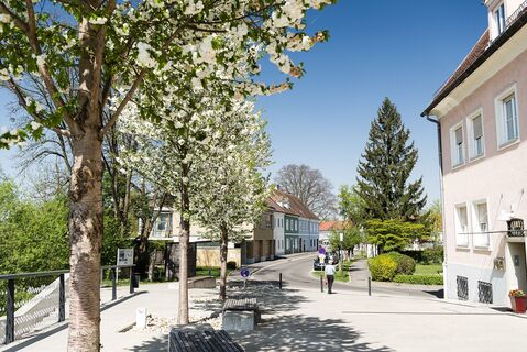 Bad Radkersburg erblüht im Frühling nahe der Grenzbrücke nach Gornja Radgona