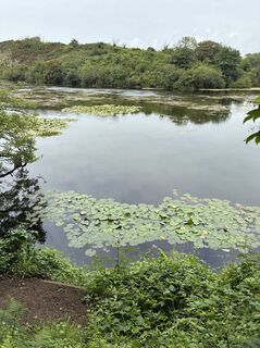 Fotografia z Gisbert Hahn na trase