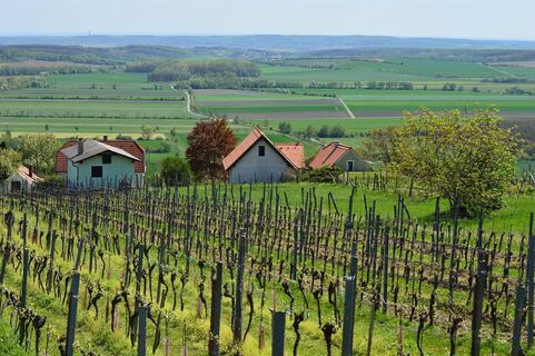 Ausblick REnthouse Rechnitz