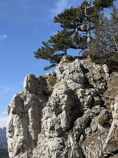 Fotografija s spletne strani Kate Rusakova na poti