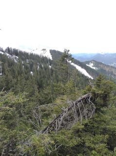 Fotografia z Steffen Weibrecht na trase