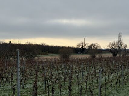 Zdjęcie z InesW wzdłuż trasy