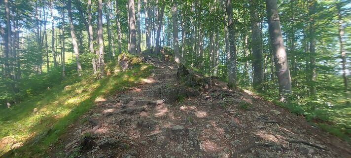 Photo de Klaus Gruber 3 le long du parcours