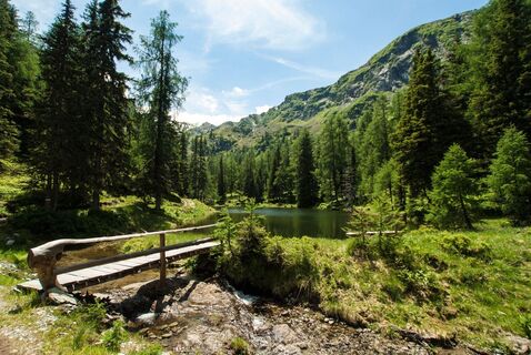 Kleine Brücke beim Waldsee