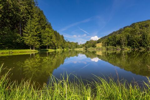 Blick über den Urbansee