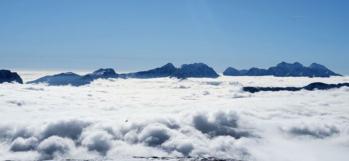 Fotografia z Igor napast na trase