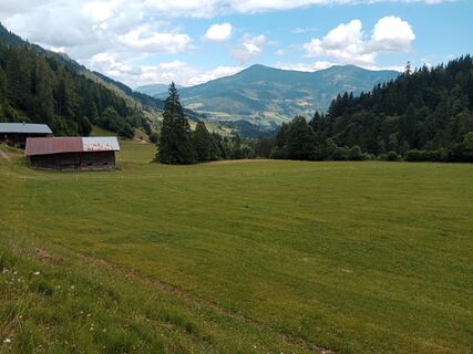 Fotografie z handshifter na trase