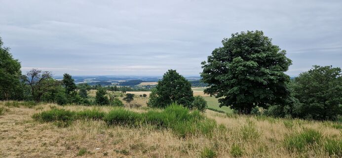 Foto von Silent Viking entlang der Tour