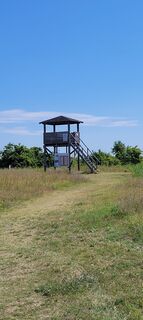 Foto de Nicky a lo largo del recorrido