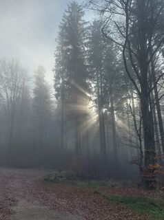 Photo de huibu le long du parcours