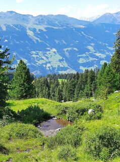 Fotografie de la Marco Sandfort-Wessels de-a lungul turului