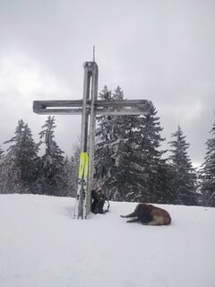 Photo de Delpyalain73 le long du parcours