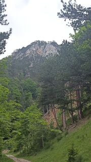 Foto von Bergpirat entlang der Tour