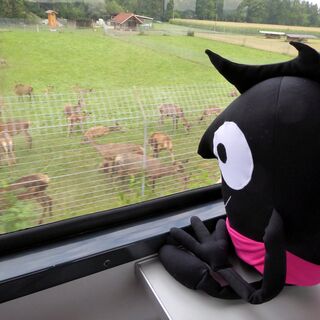 Edgar liebt die Bahnfahrt nach Nussdorf-Weitwörth.