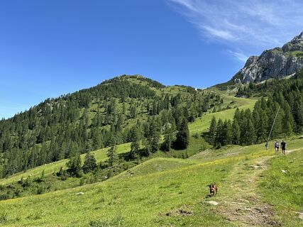 Foto fra tjiong underveis på turen