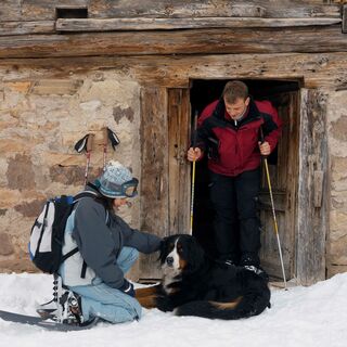 Typische Berghütte