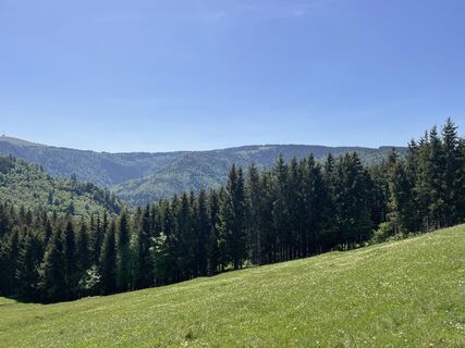 Fotografija s spletne strani Ralf Umminger na poti