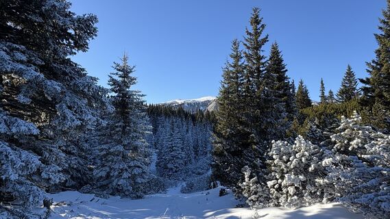 Foto de Raphael Höller a lo largo del recorrido